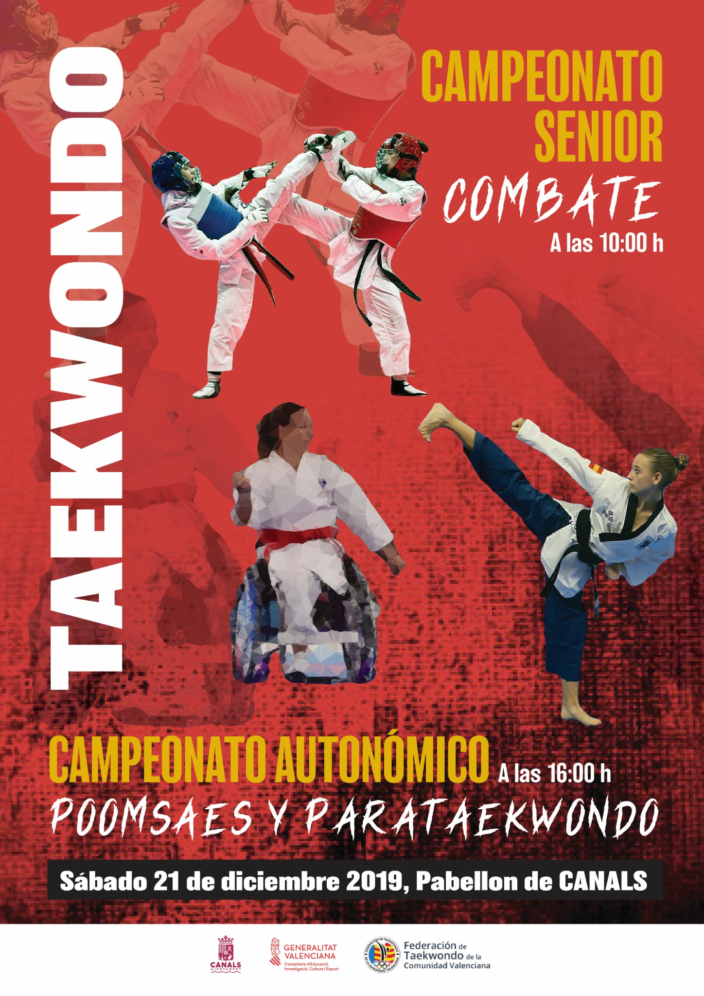 cartell campionat taekwondo