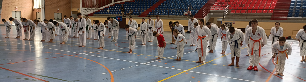 curs de kumite fira