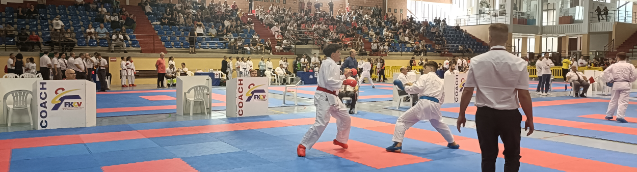 resultats lliga autonomica karate